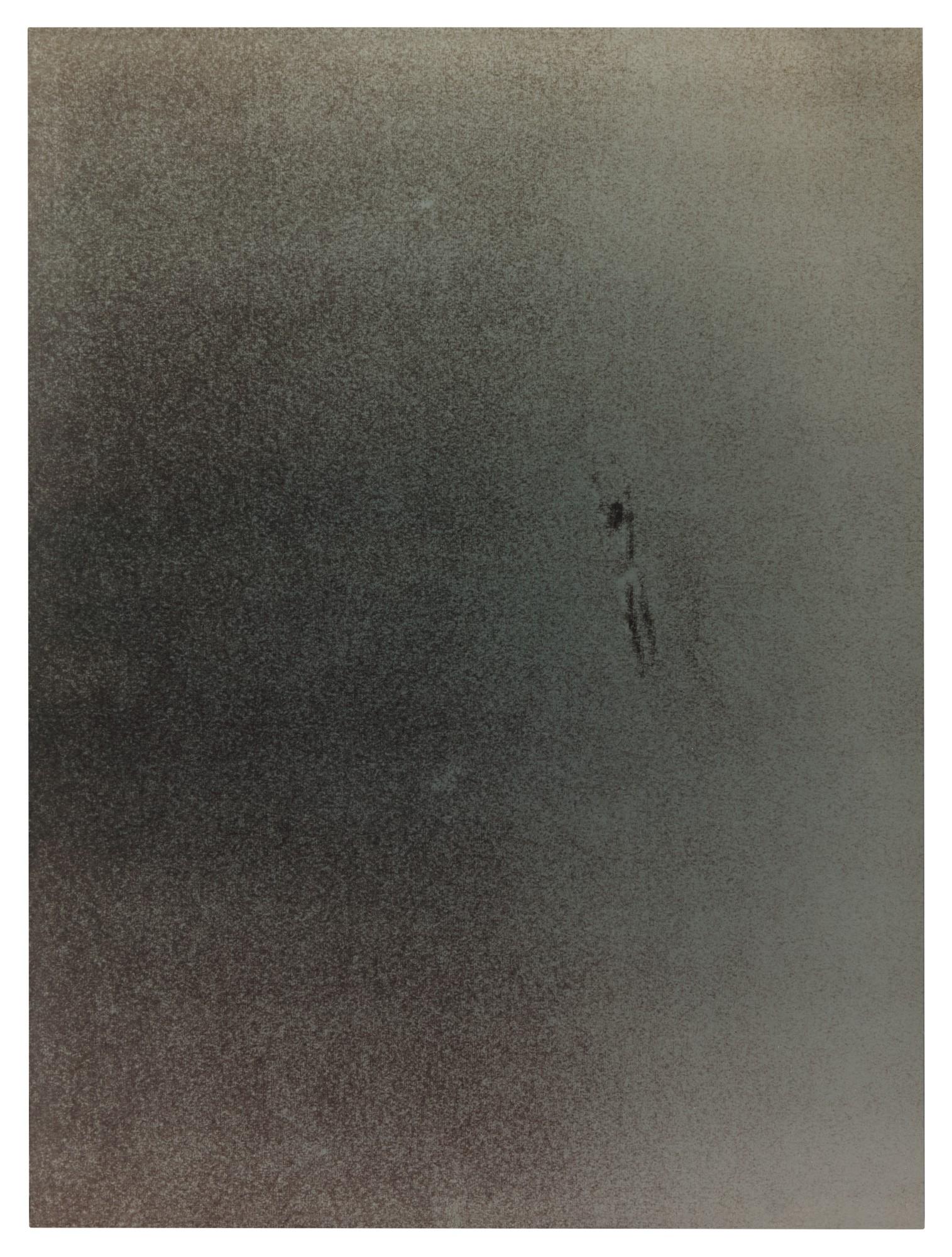 Michal Rovner - One-Person Game Against Nature, No. V-21