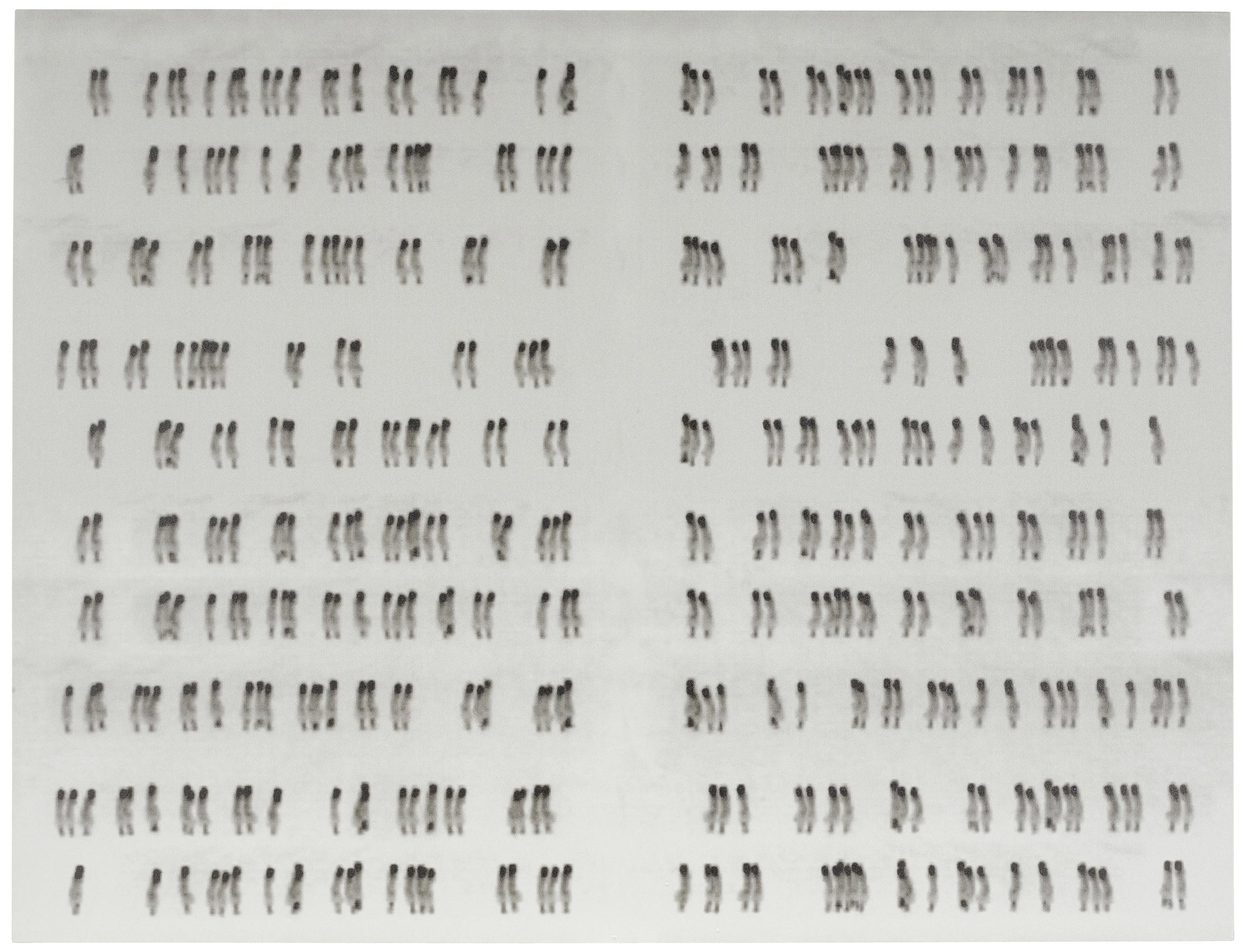 Michal Rovner - Script