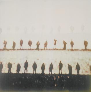 Michal Rovner - Trains