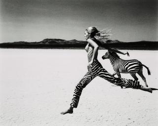 Michel Comte - \