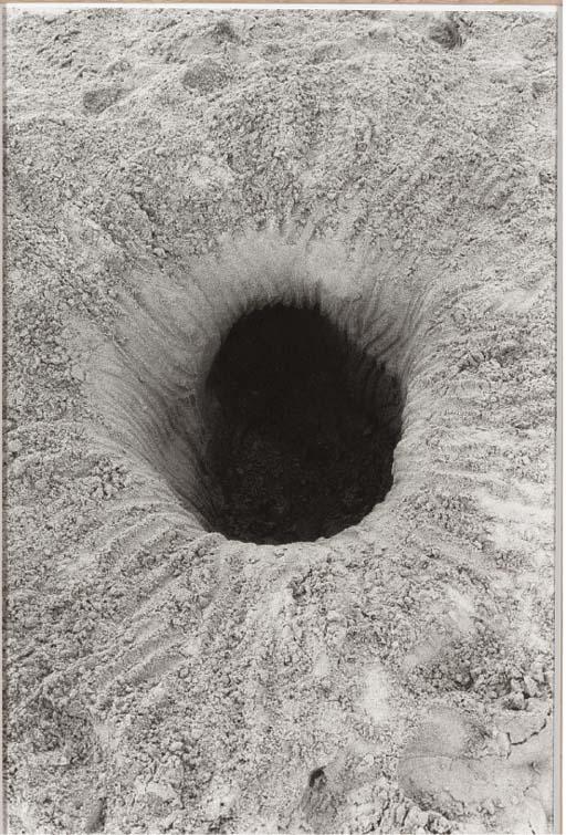 Michel Francois - The Hole