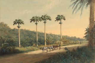 Michel Jean Cazabon - A horse and cart with figures on a track, thought to be on the Tucker Valley Estate, Trinidad
