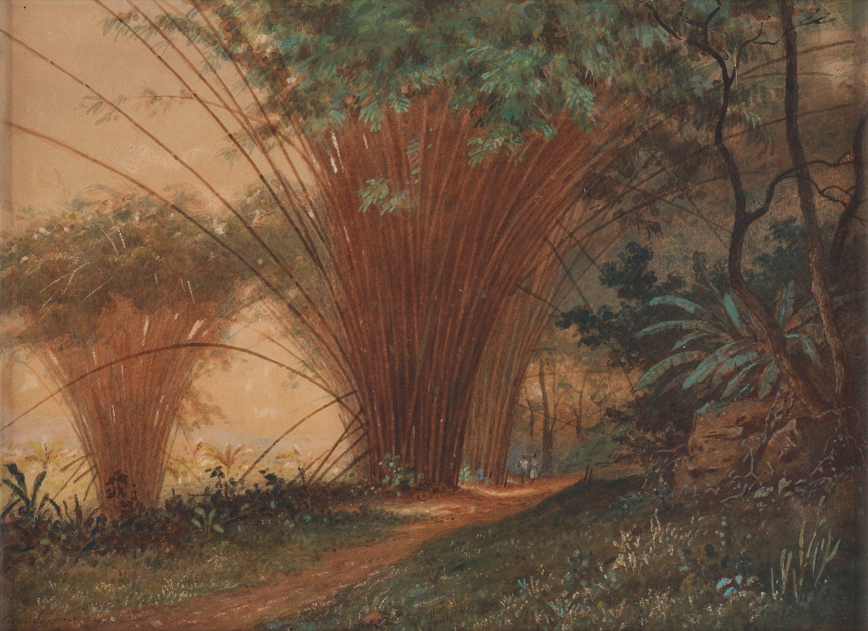 Michel-Jean Cazabon - Bamboo Arch, Trinidad.