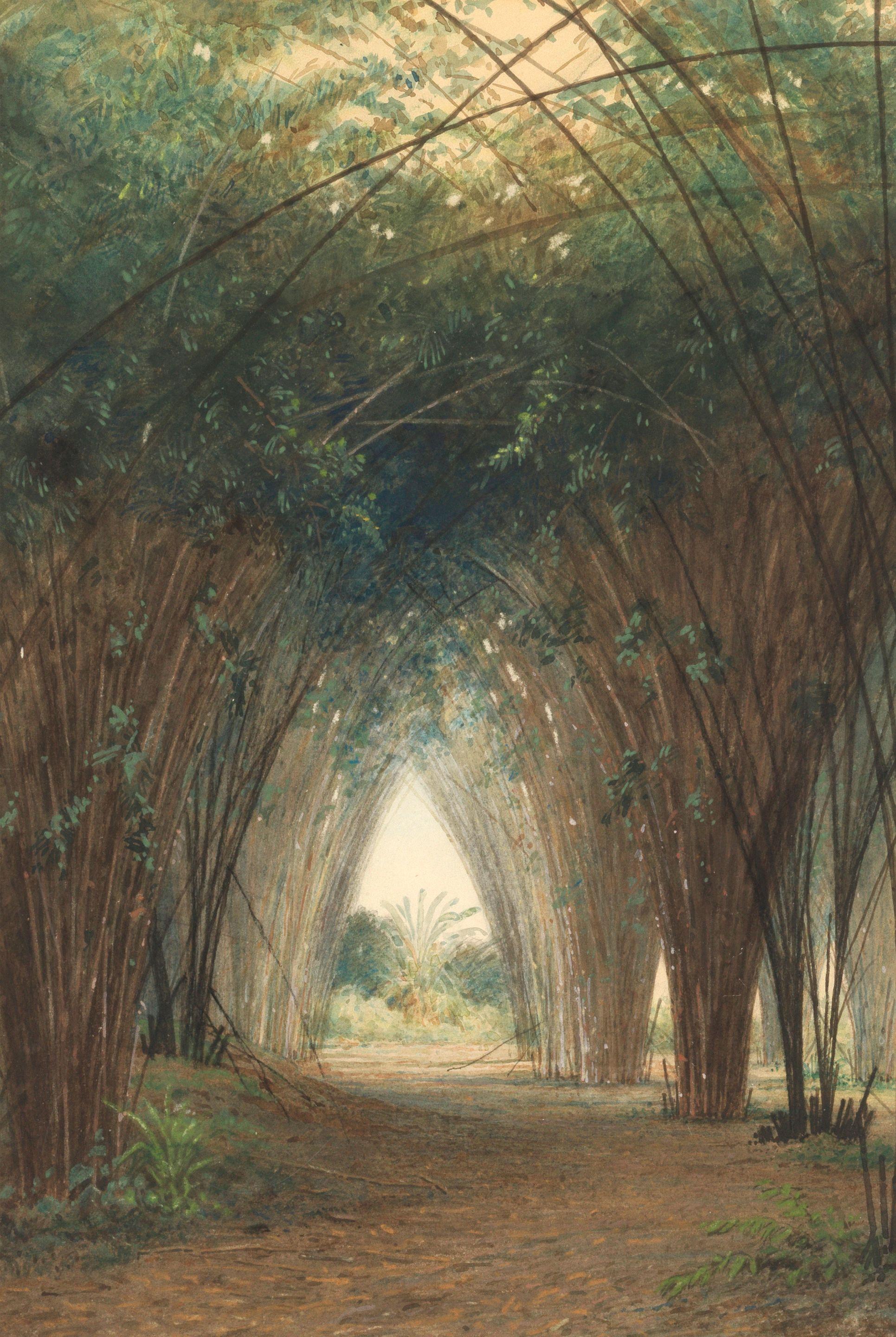 Michel Jean Cazabon - Bamboo cathedral, Trinidad