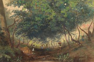 Michel Jean Cazabon - Cocoa pickers, thought to be on the Tucker Valley Estate, Trinidad