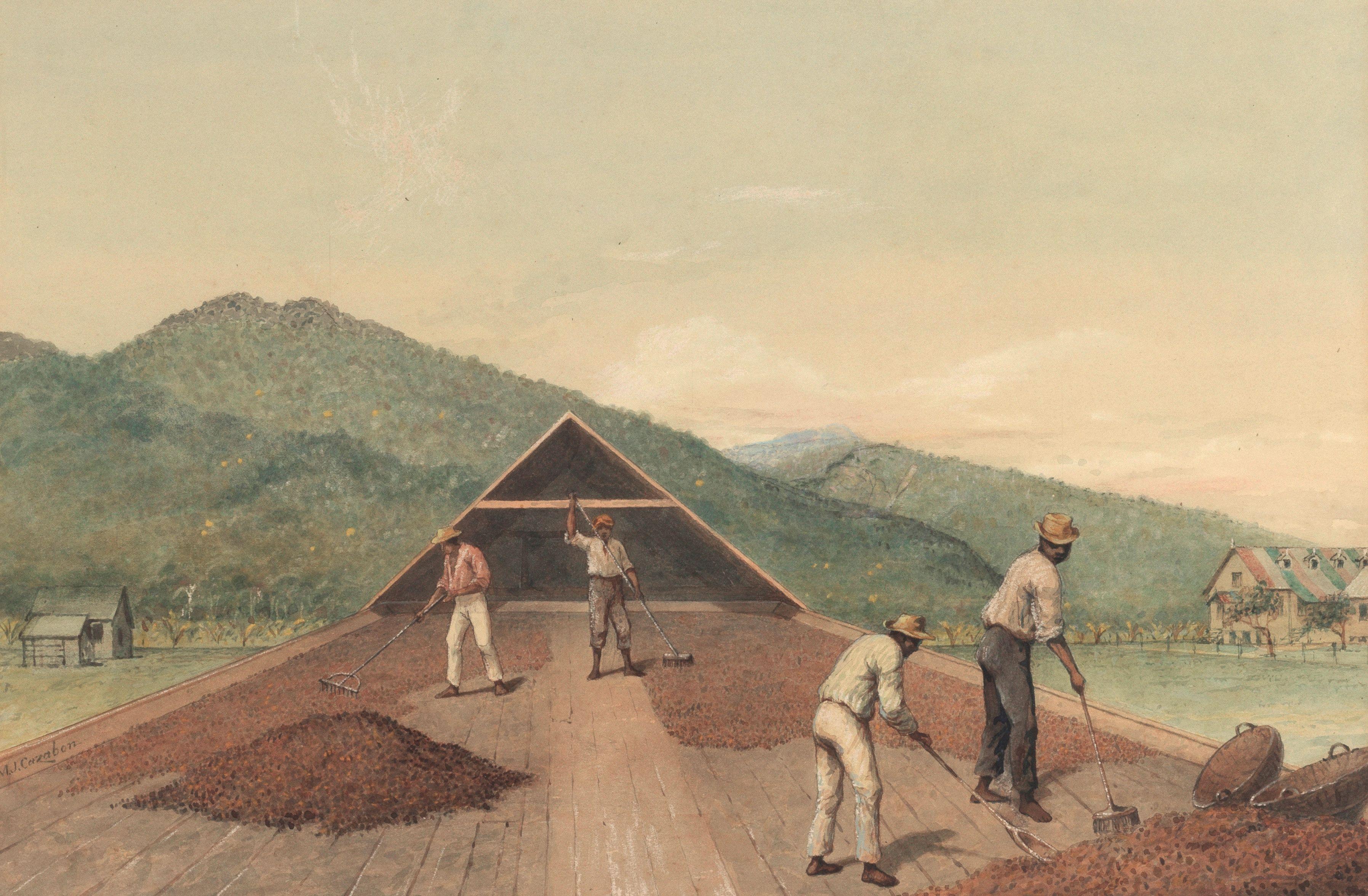 Michel Jean Cazabon - Men working on the cocoa house on the Tucker Valley Estate, Trinidad