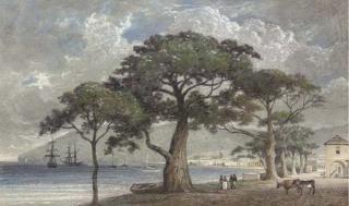 Michel Jean Cazabon - Port scene in the West Indies (possibly Kingstown, St Vincent)