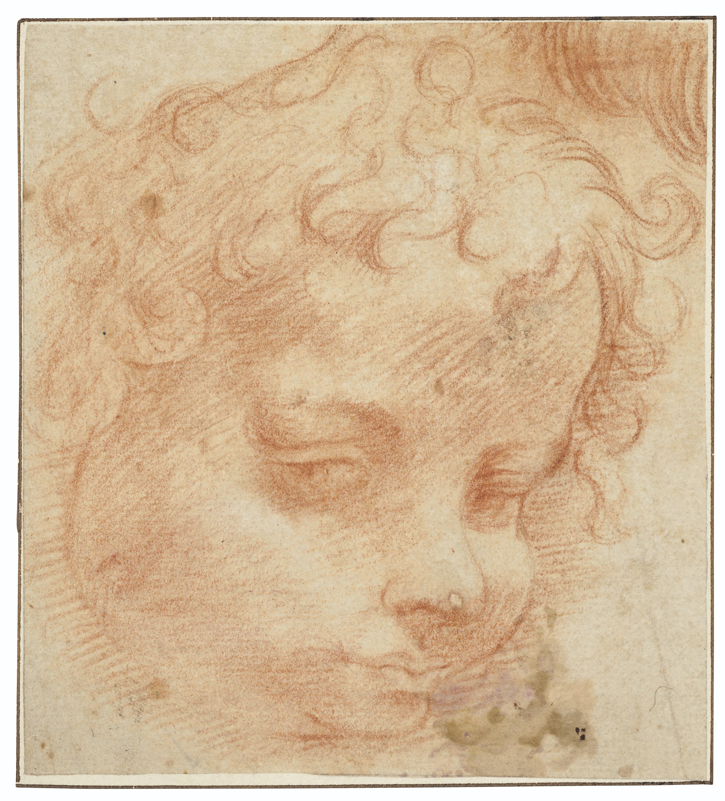 Michelangelo Anselmi - Head of a putto