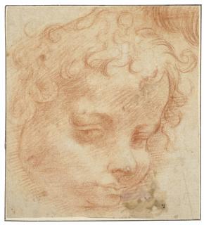 Michelangelo Anselmi - Head of a putto