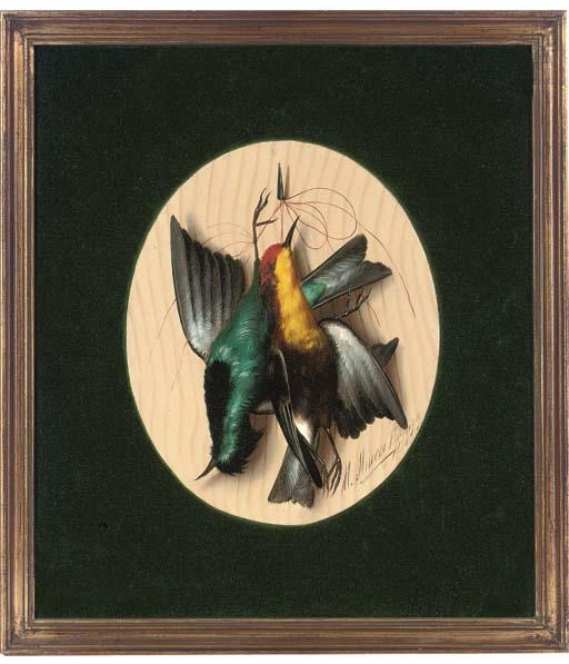 Michelangelo Meucci - Hanging songbirds