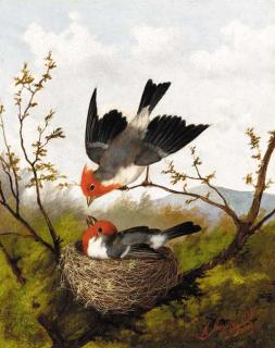 Michelangelo Meucci - The cardinal\'s nest