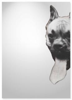 Michelangelo Pistoletto - Boxer