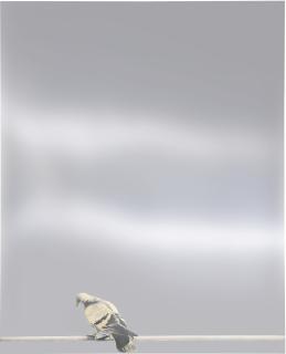 Michelangelo Pistoletto - Colomba