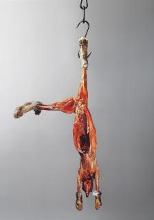 Michelangelo Pistoletto - Coniglio appeso