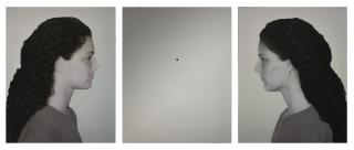 Michelangelo Pistoletto - Gemelle (Mirror triptych)