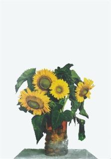 Michelangelo Pistoletto - Girasoli