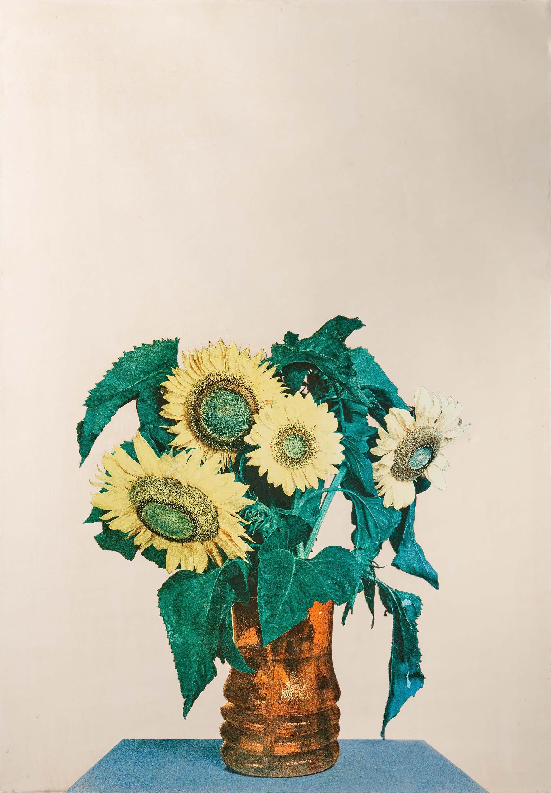 Michelangelo Pistoletto - Girasoli.