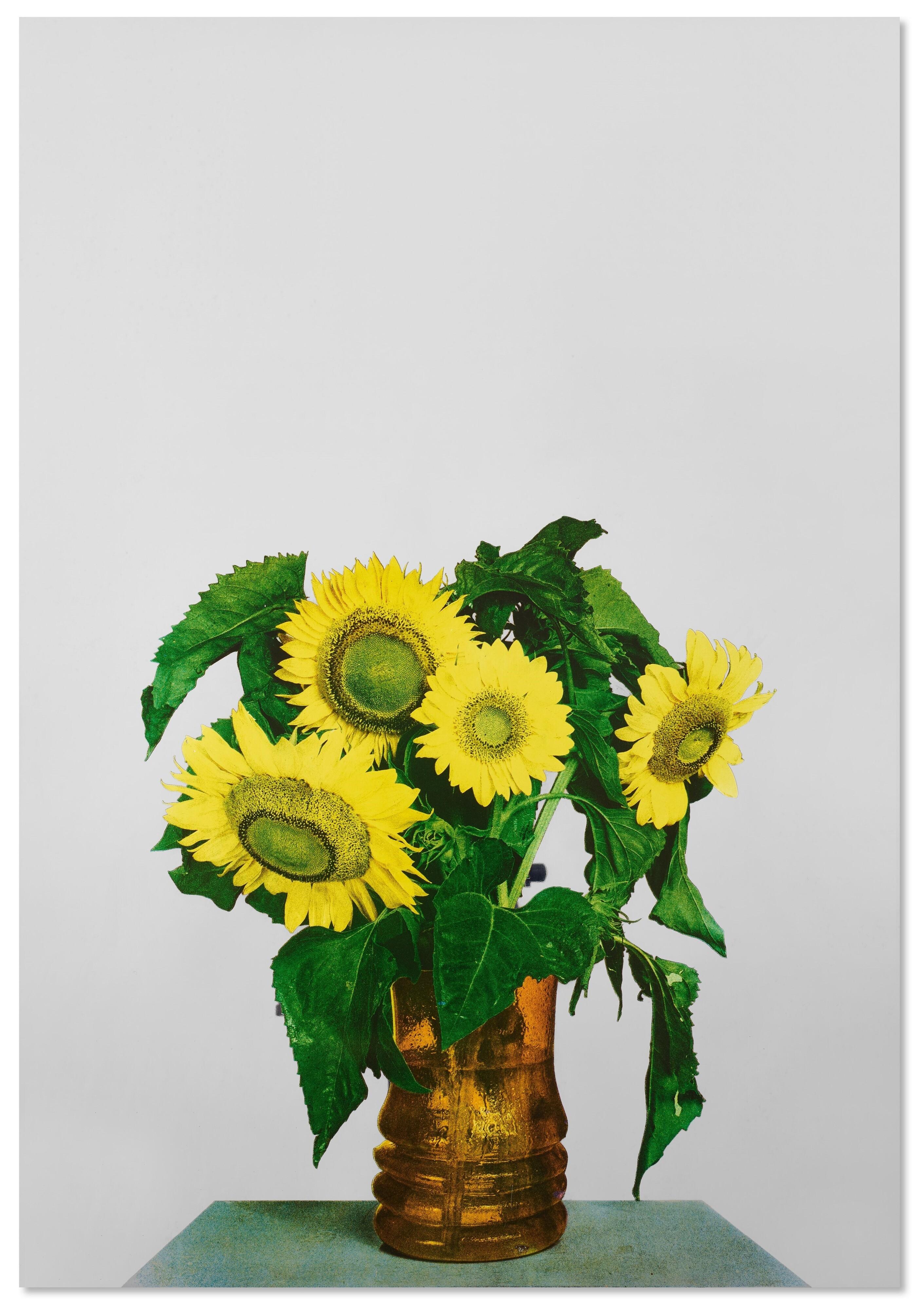 Michelangelo Pistoletto - Girasoli
