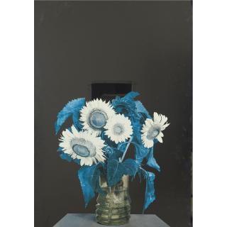 Michelangelo Pistoletto - Girasoli