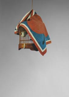 Michelangelo Pistoletto - La gabbia