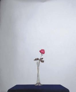 Michelangelo Pistoletto - La Rosa