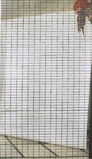 Michelangelo Pistoletto - Pappagallo nello zoo