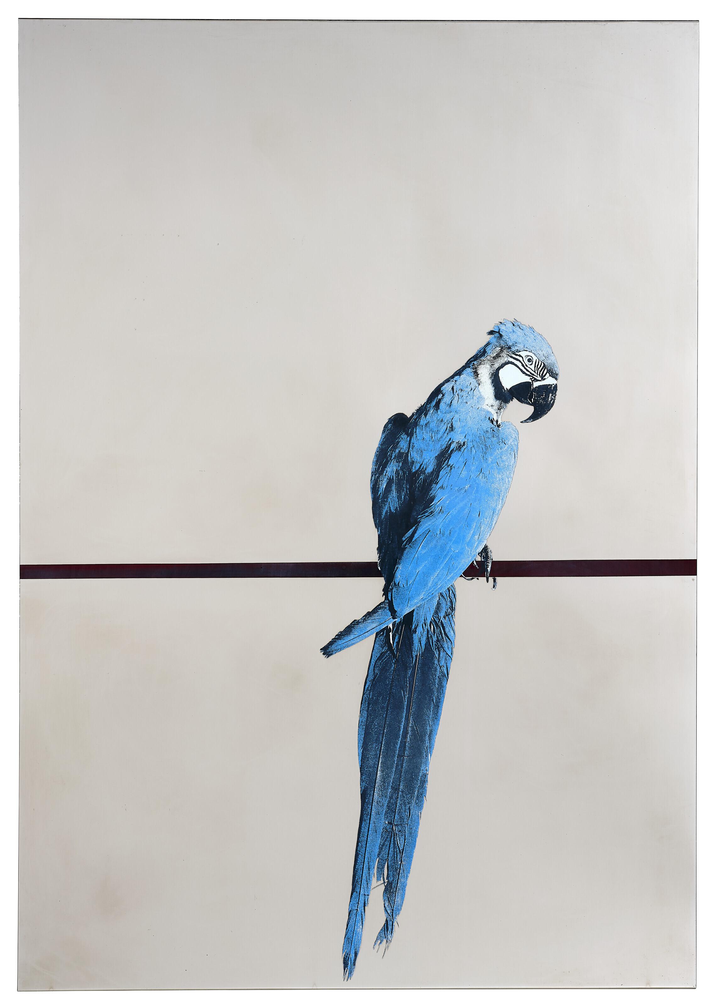 Michelangelo Pistoletto - Pappagallo