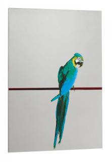 Michelangelo Pistoletto - Pappagallo
