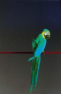 Michelangelo Pistoletto - Pappagallo
