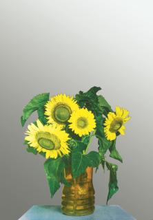 Michelangelo Pistoletto - Sunflower