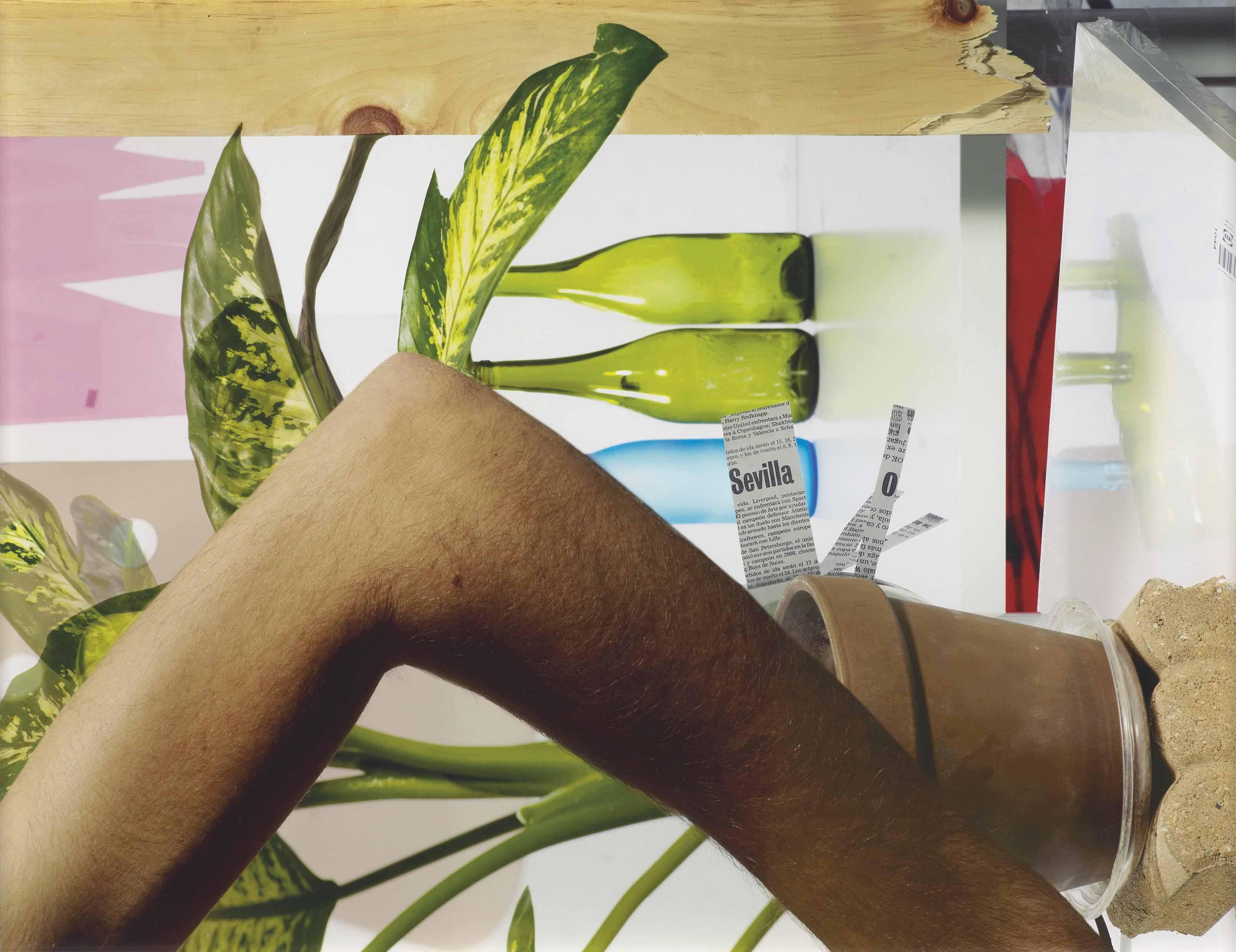 Michele Abeles - Arm, Plant, Bottles, Wood