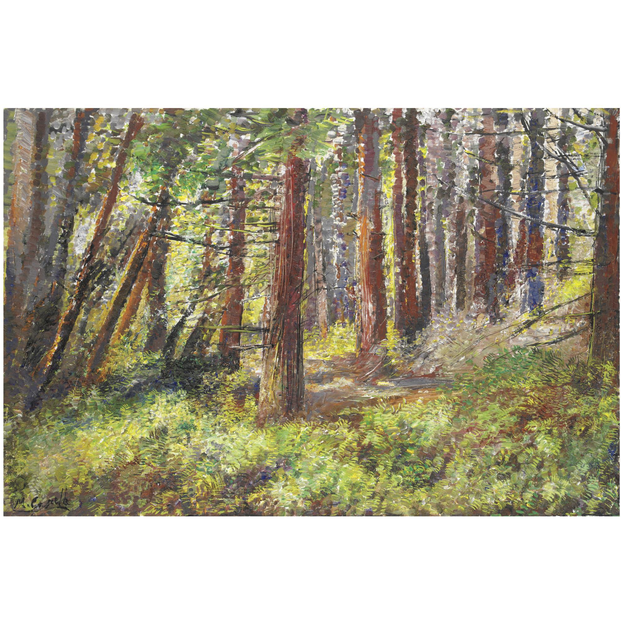 Michele Cascella - Foresta Californiana