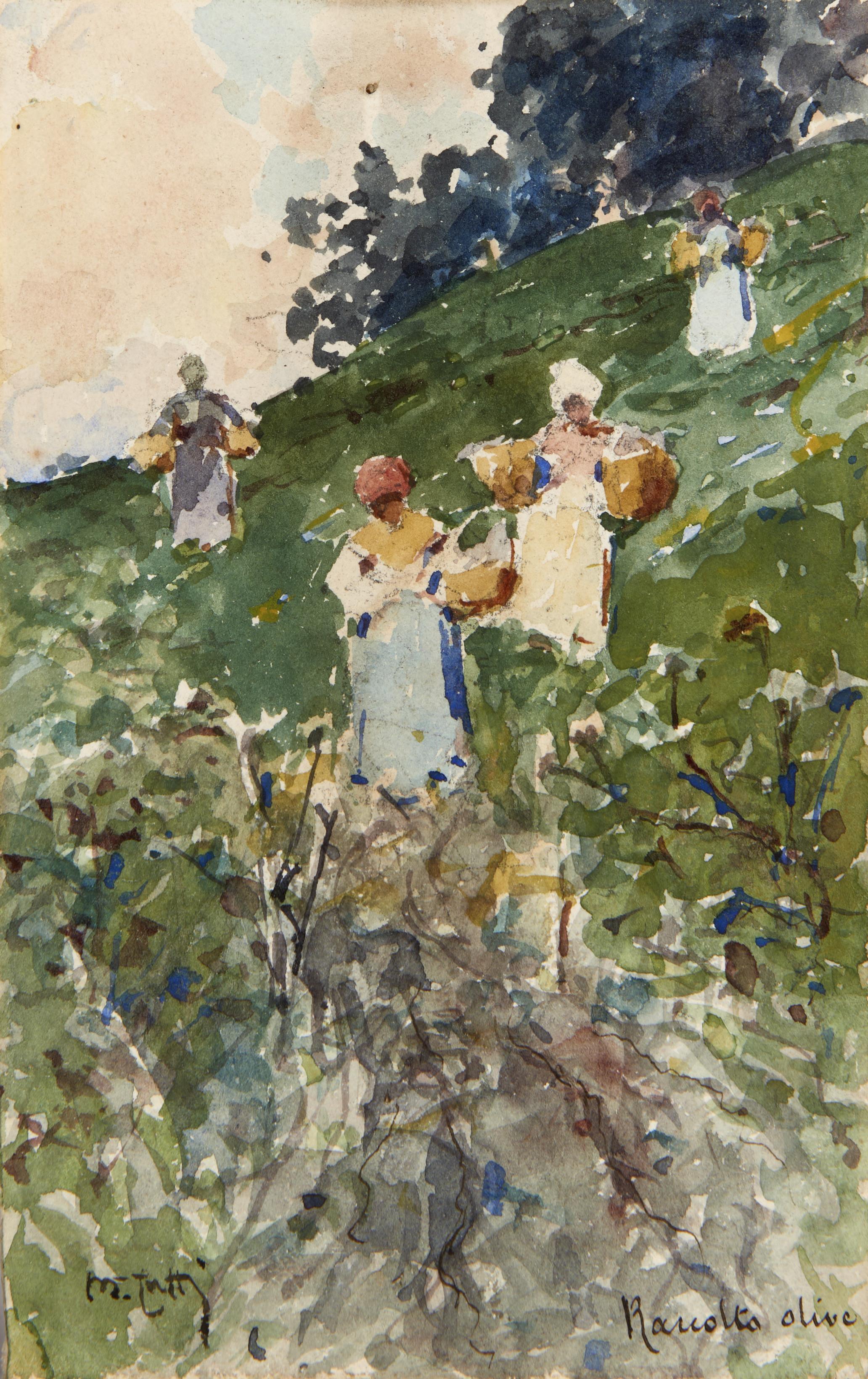 Michele Catti - La raccolta delle olive