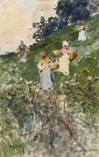 Michele Catti - La raccolta delle olive