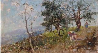 Michele Catti - La raccolta delle olive