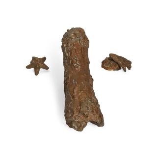 Michele Oka Doner - Faucet