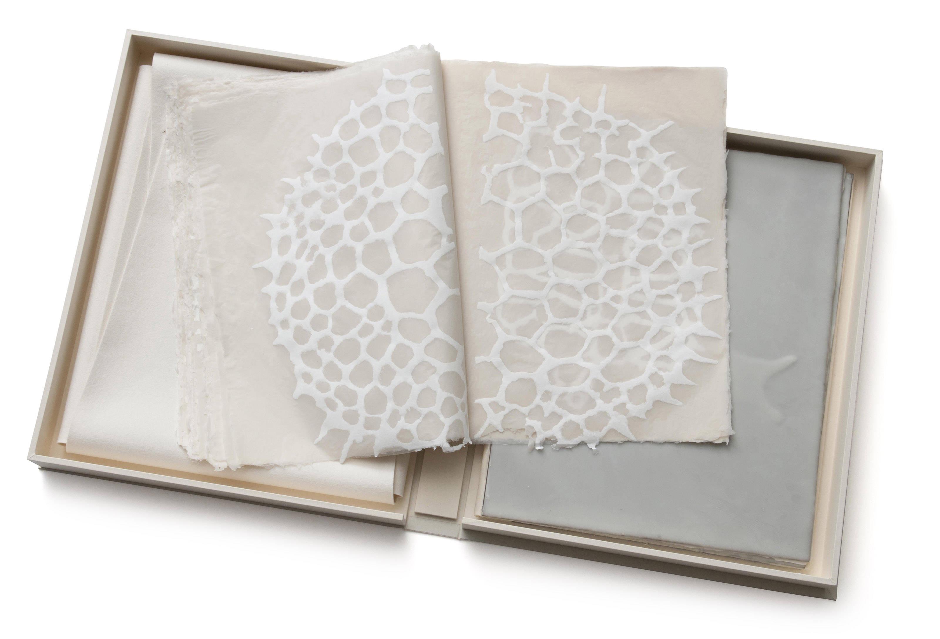 Michele Oka Doner - What is White