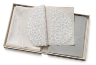 Michele Oka Doner - What is White