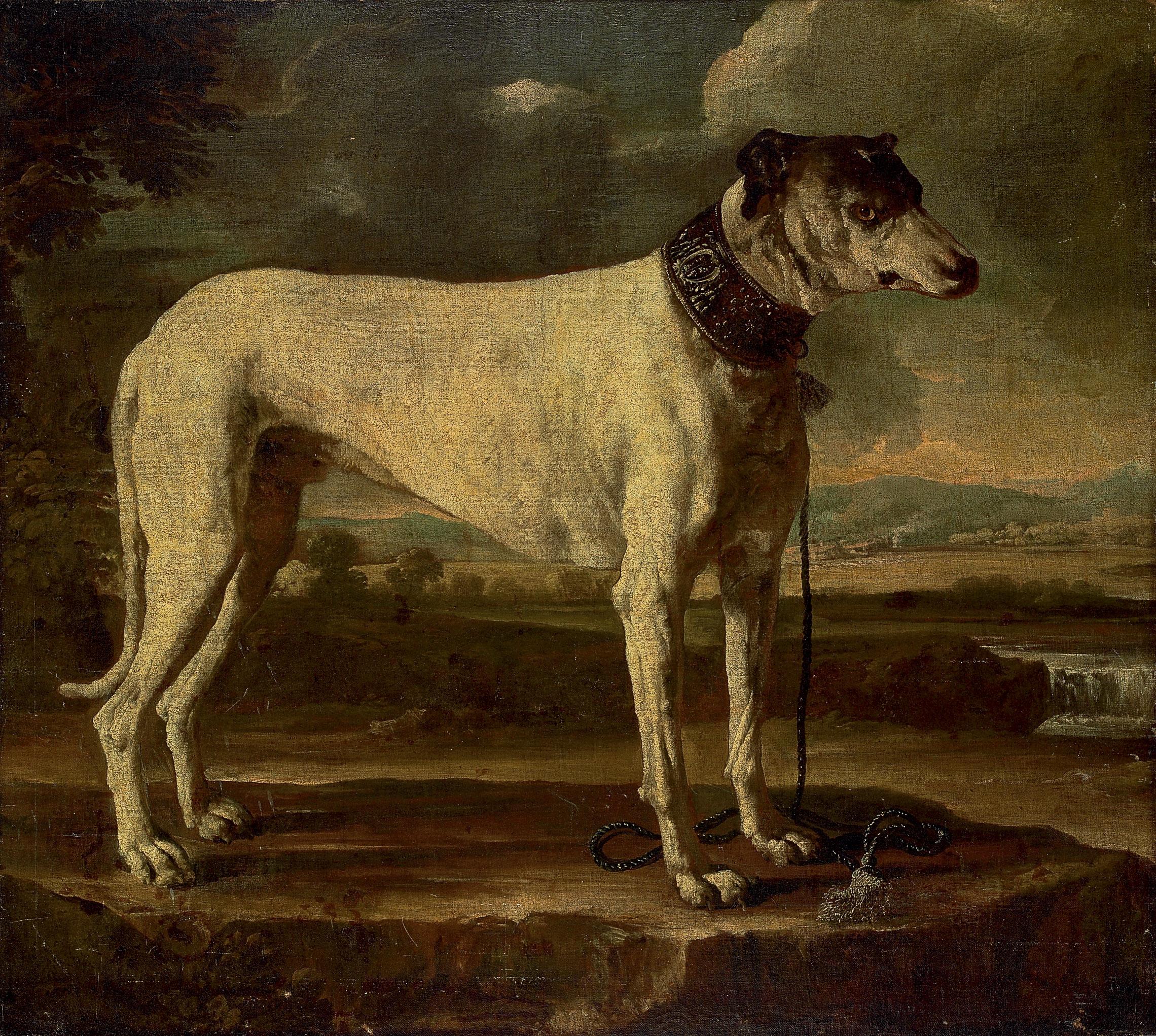 Michele Pace del Campidoglio - A hound in a landscape