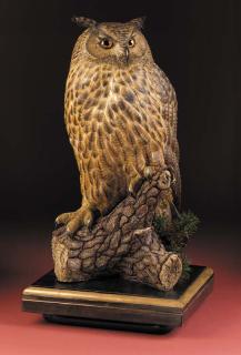 Michele Vitaloni - A long eared owl