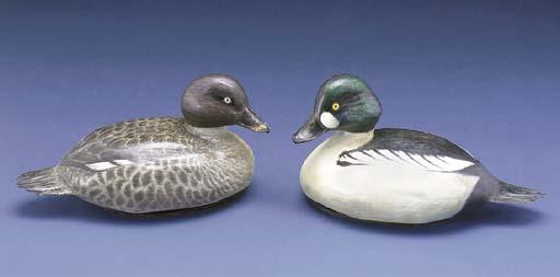 Michele Vitaloni - A Male Barrow\'S Goldeneye Duck; And A Female Barrow\'S Goldeneye Duck