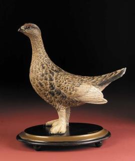 Michele Vitaloni - A ptarmigan