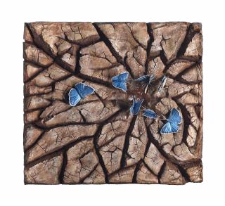 Michele Vitaloni - Blue Butterflies