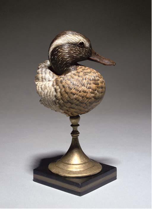 Michele Vitaloni - Garganey Duck