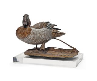 Michele Vitaloni - Garganey