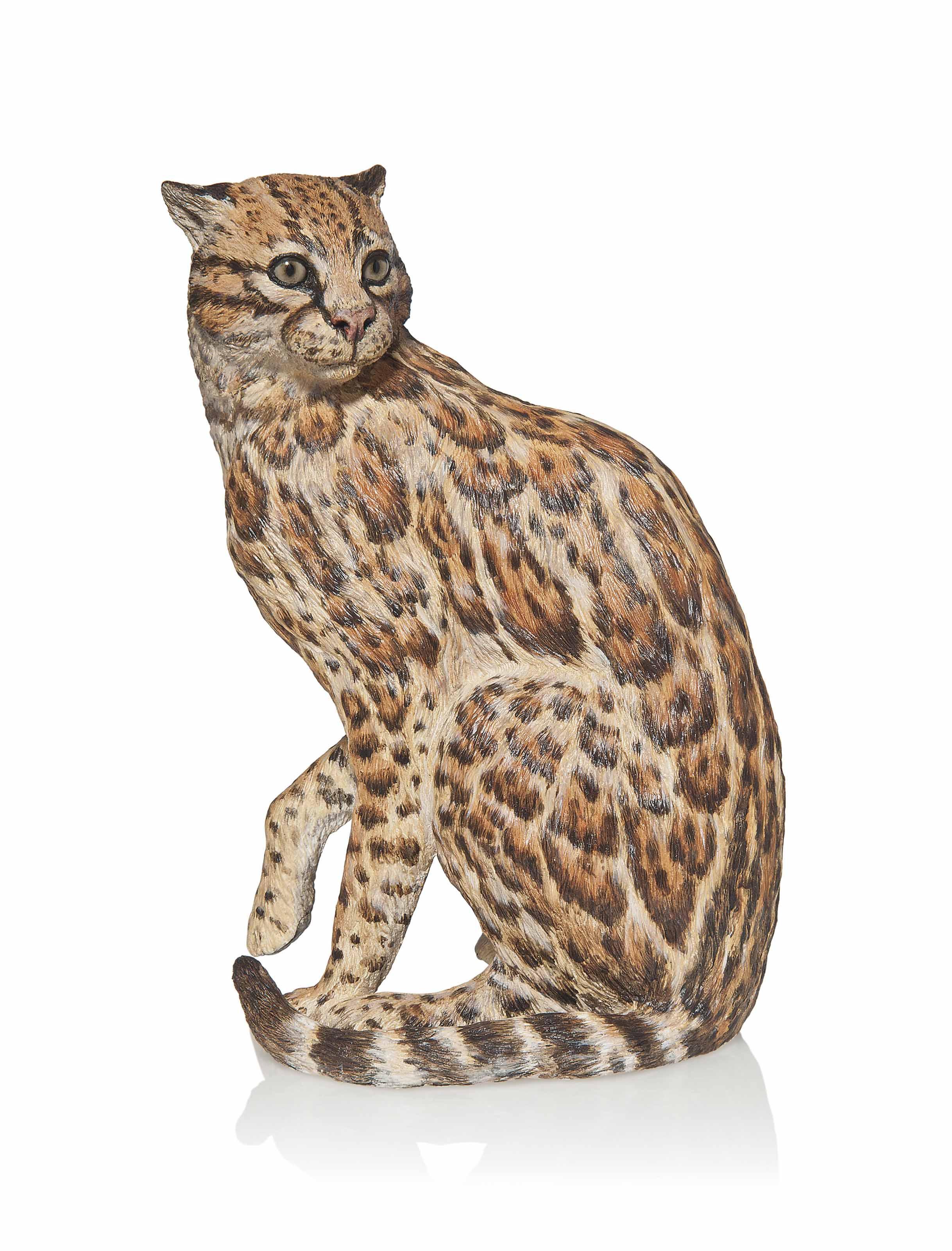 Michele Vitaloni - Ocelot