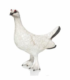 Michele Vitaloni - Rock Ptarmigan