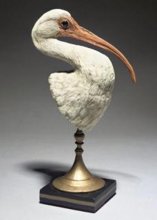 Michele Vitaloni - White ibis