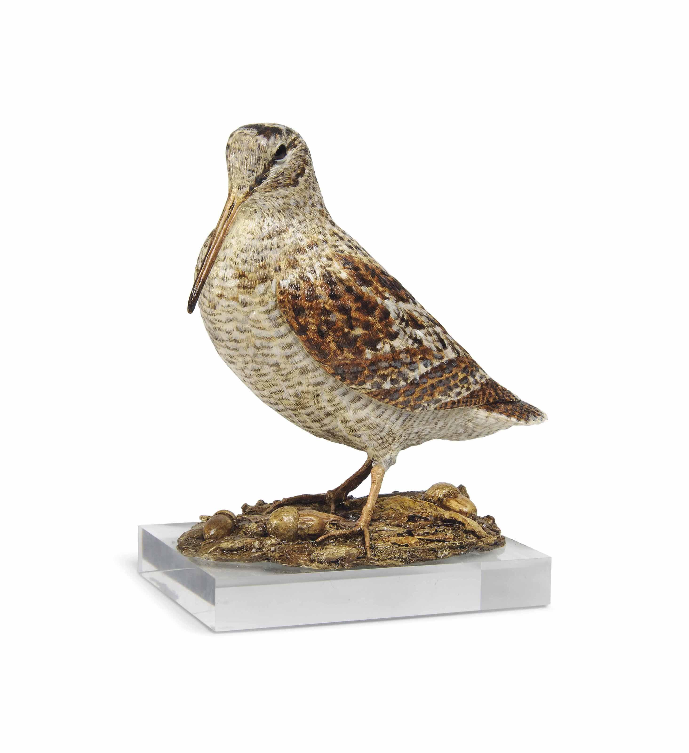 Michele Vitaloni - Woodcock In Leaf Litter