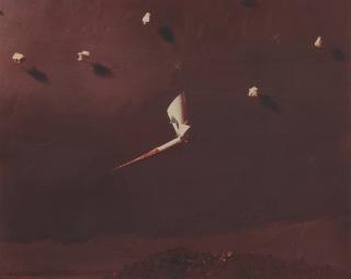 Michele Zaza - Attrazione.